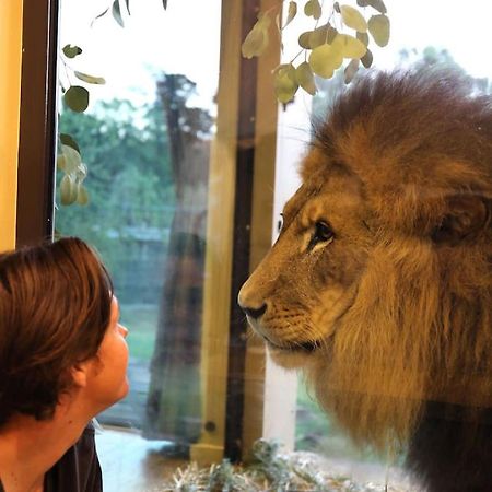 Big Cat Bungalows At The Haven - Lion 2 Canastota ภายนอก รูปภาพ