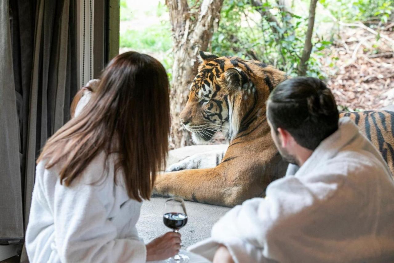 Big Cat Bungalows At The Haven - Lion 2 Canastota ภายนอก รูปภาพ